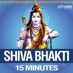 Shiva Bhakti - 15 Minutes - Anand-Milind Song Download